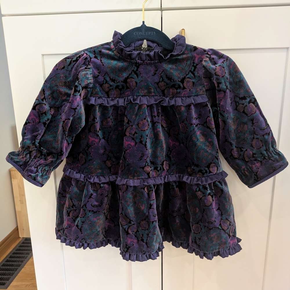 Dark Whimsical Vintage Velvet Dress
